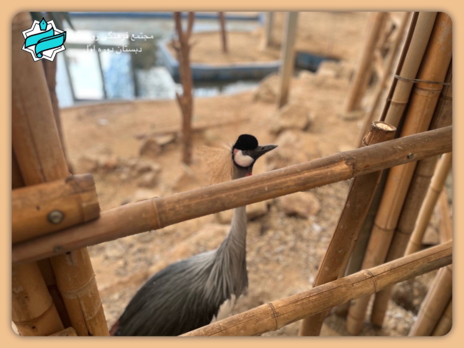 اّردوی علمی تفریحی پایه سوم- باغ پرندگان