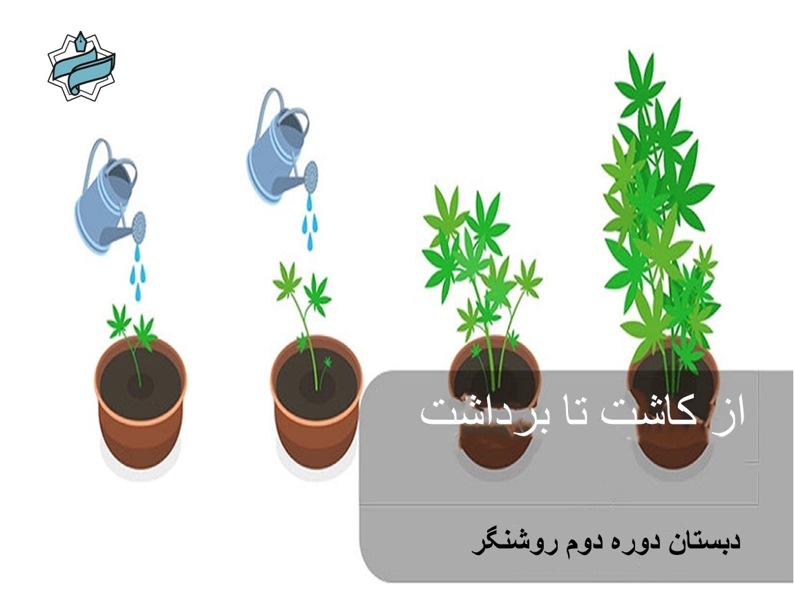 🌱 از کاشت تا برداشت: کار گروهی عملی بر روی چرخه‌ی کشاورزی ایران (فصل ۳ اجتماعی)